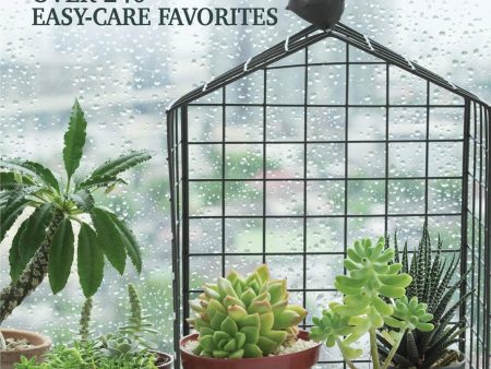 Pocket Guide to Houseplants: Over 240 Easy-Care Favorites (Creative Homeowner) Complete Plant Guide with Over 300 Photos and Illustrations in a Handy 5 x 7 Size to Help You Choose Plants at the Store on Sale