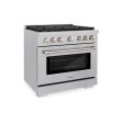 ZLINE 36 in. 5.2 cu. ft. Paramount Gas Range with Convection Gas Oven in DuraSnow® Stainless Steel with 6 Brass Burners (SGRS-BR-36) Hot on Sale