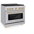 ZLINE Autograph Edition 36 in. 5.2 cu. ft. Paramount Gas Range with 6 Burner Cooktop and Convection Gas Oven in Stainless Steel and Polished Gold Accents (SGRZ-36-G) Cheap