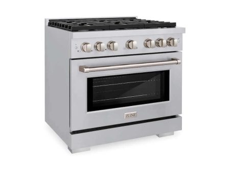 ZLINE 36 in. 5.2 cu. ft. Paramount Gas Range with Convection Gas Oven in Stainless Steel with 6 Brass Burners (SGR-BR-36) Online now