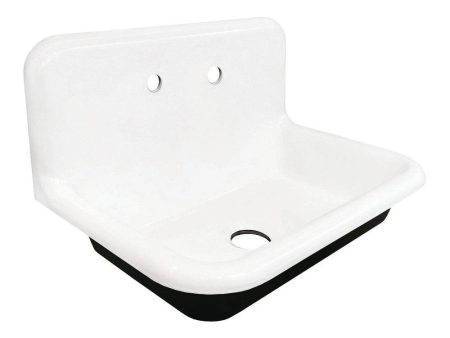 Kingston Brass 30X20 Cast Iron Single Bowl Wall Mount Sink, White Fashion