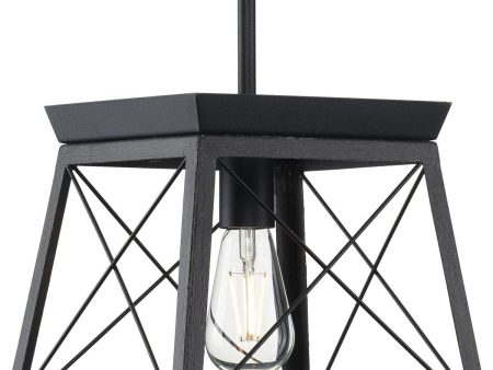 Progress Lighting P500041-031 Briarwood Pendants, Ceruse Black 9.00x10.00x10.00 - open_box Online now