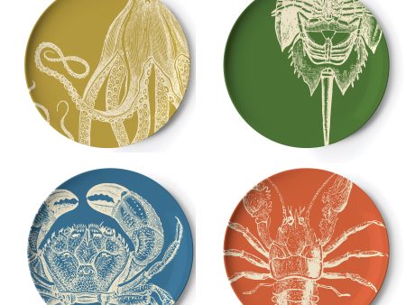 Sealife Dinner Plate Set 4 Online now