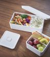 Vacuum-Sealing Bento Box Online Sale