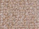 Home Queen Indoor Outdoor Commercial Beige Color Area Rug - 2  Round, Stain Resistant, Living Room, Pet-Friendly and Stylish, Machine-Made Solid Area Rug, Polypropylene Material - new Supply